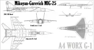 Mig-25_vs_A4G-1_75.webp