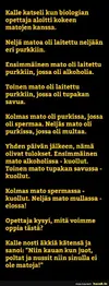 1733285768559.webp