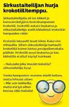 1733369346089.webp