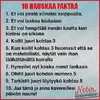 1745291509510.webp