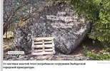 1000015862.webp