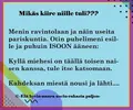 1746499462225.webp