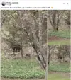 1748228794542.webp