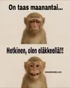 1748253970842.webp