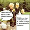 1748574779257.webp