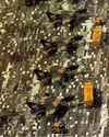 2025-06-06 10_23_43-Aircraft camouflage - Wikipedia — Mozilla Firefox.webp