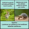 1750215803711.webp