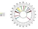 1750268434864.webp