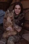 cats.webp