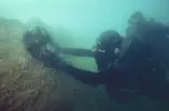1750881559109.webp