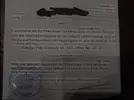 1751054827889.webp