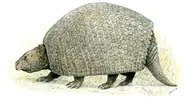 1751214374835.webp