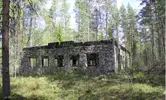 Tolv.webp