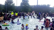 Leppäv2.webp