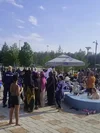 Leppäv1.webp