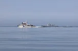 IMG_8051.webp