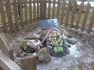 20170404_150650.webp