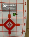 Ballistic-X-Export-2022-04-15 11:28:04.519995.webp