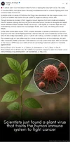 1754189731966.webp