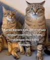 1754916821582.webp