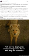 1755318602849.webp