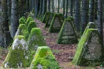 siegfried-line-germany-9ts8.webp