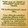 1756867498153.webp
