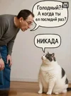 1757614014751.webp