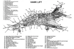 ece594e55f0178129c458a02bf2a305a.jpg.webp