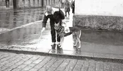 1000028760.webp