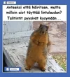 1759116781654.webp