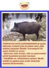 1760407308433.webp