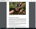 pannoitettu koirasusi.webp