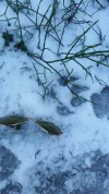 20170311_141045.webp