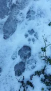 20170311_141050.webp