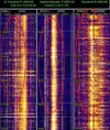 2018-02-15-1110 FT - Multi freq rx experiment RTL SDRV3 SL - 3 detail strips - Y12H 100 - Cur...webp