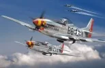 Mustang P-51 D.webp