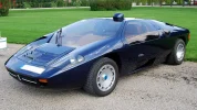 Isdera_imperator.webp