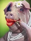 lipstick-on-a-pig-225x300-2.webp