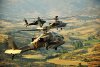 Flickr_-_Israel_Defense_Forces_-_Apache_Helicopters_Overlooking_Greece.jpg