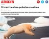 10 vuotta aikaa pelastaa maailma Iltalehti Sirpa Kulonen.jpg