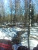20190313_125758.jpg