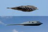 This-Is-Nature--s-B2-Bomber.jpg