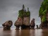 east-coast-experiences-hopewell-rocks.jpg