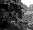 band of brothers.webp