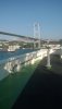 WP_20180429_17_59_45_Pro.jpg