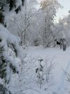 Polish_20210122_215825724.jpg Polish_20210122_215825724.jpg