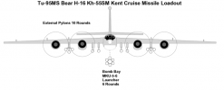 Tu-95MS-Loadout-1.png