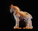 The-Trojan-Horse.webp