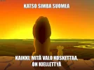 mufasa_ja_simba.webp